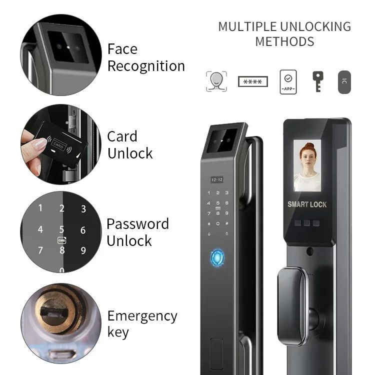Face Recognition Biometric Smart Lock Fingerprint RFID Digital Lock NFC Keyless Door Lock With Camera Wishome WIFI