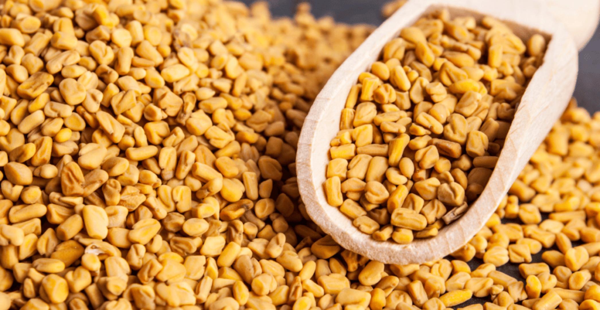 fenugreek seeds powder (Ulba)