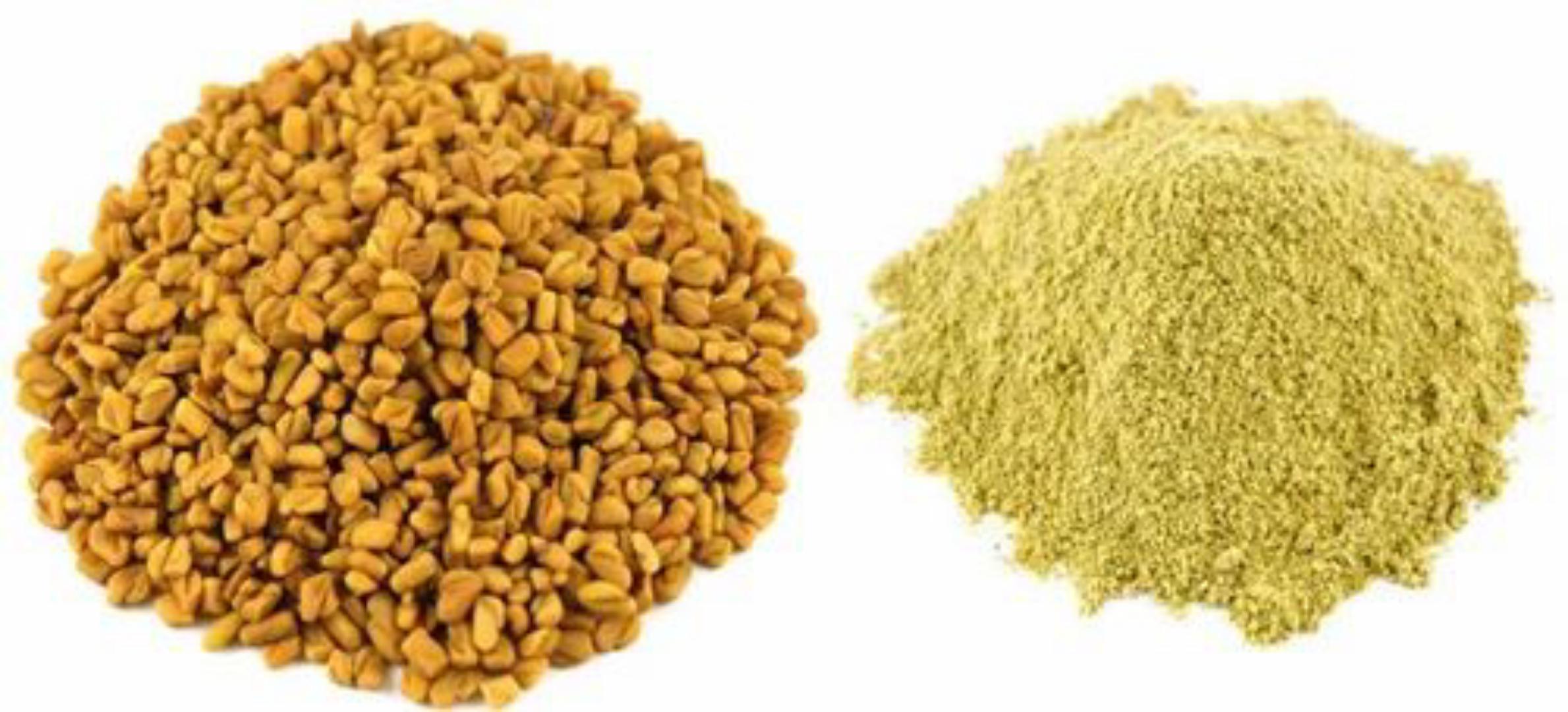 fenugreek seeds powder (Ulba)