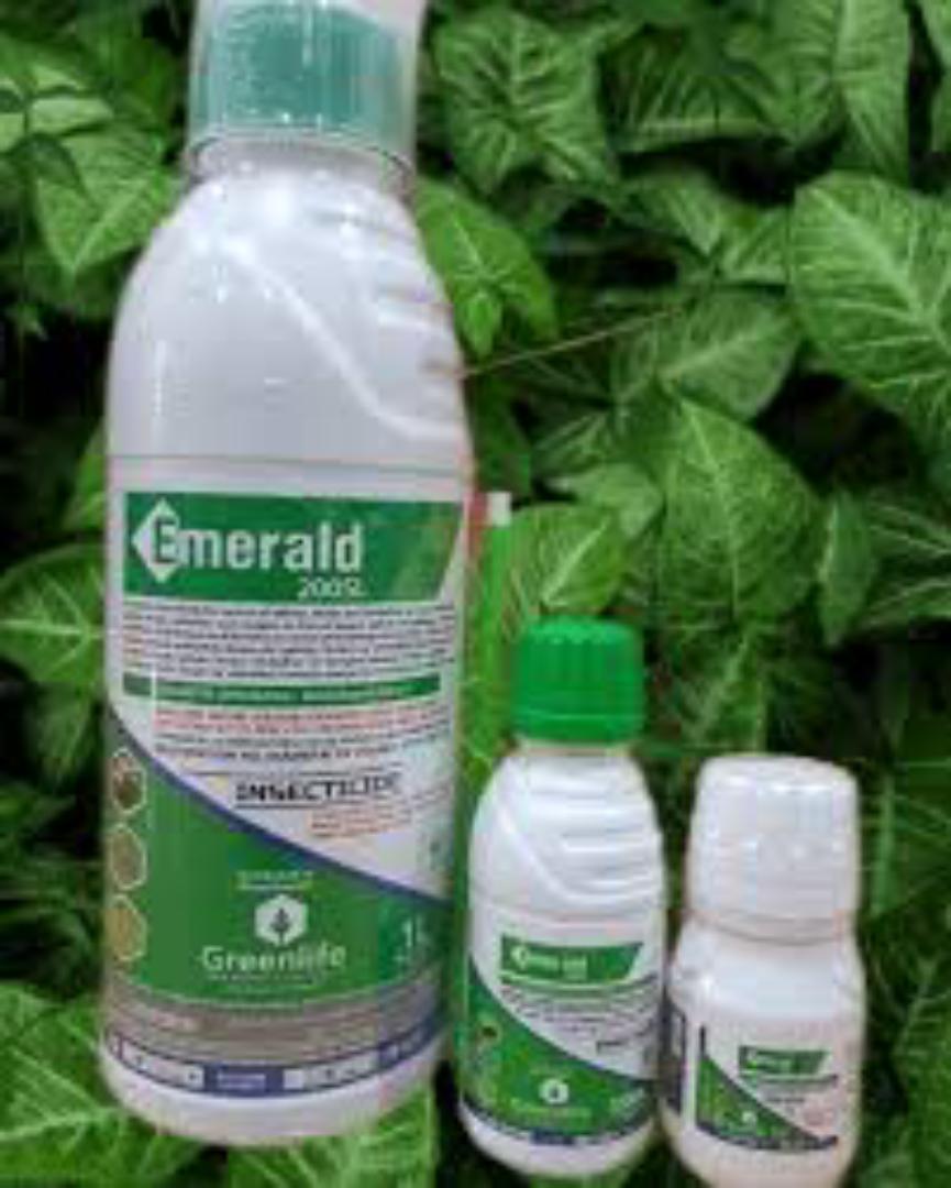 EMERALD for bedbugs and cockroaches...NO SMELL,. Environmental friendly.... APPLIED EVERYWHERE