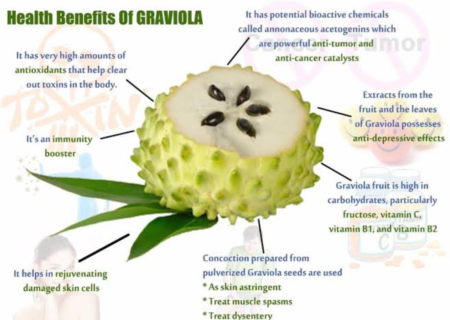 SOUR SOUP POWDER (GRAVIOLA) BOOS IMMUNITY, SUPPORT WEIGHT LOOSS HELPS TO FIGHT CANCER