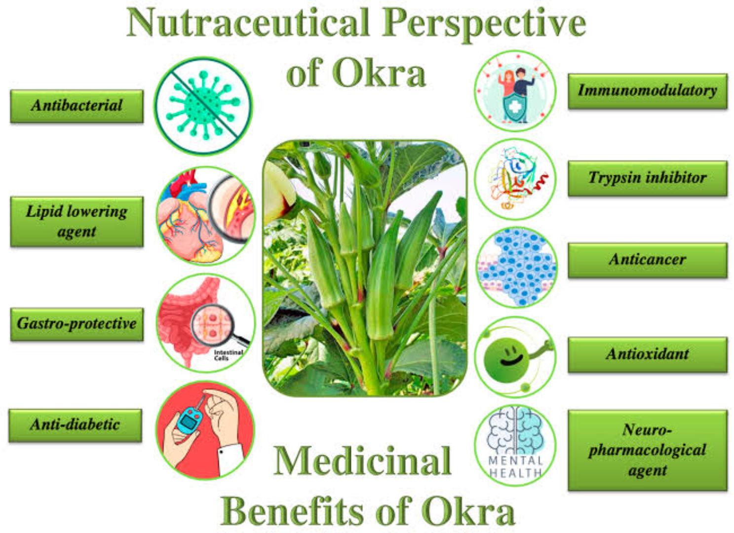 OkRA POWDER(weight management, supports healthy heart , blood sugar control