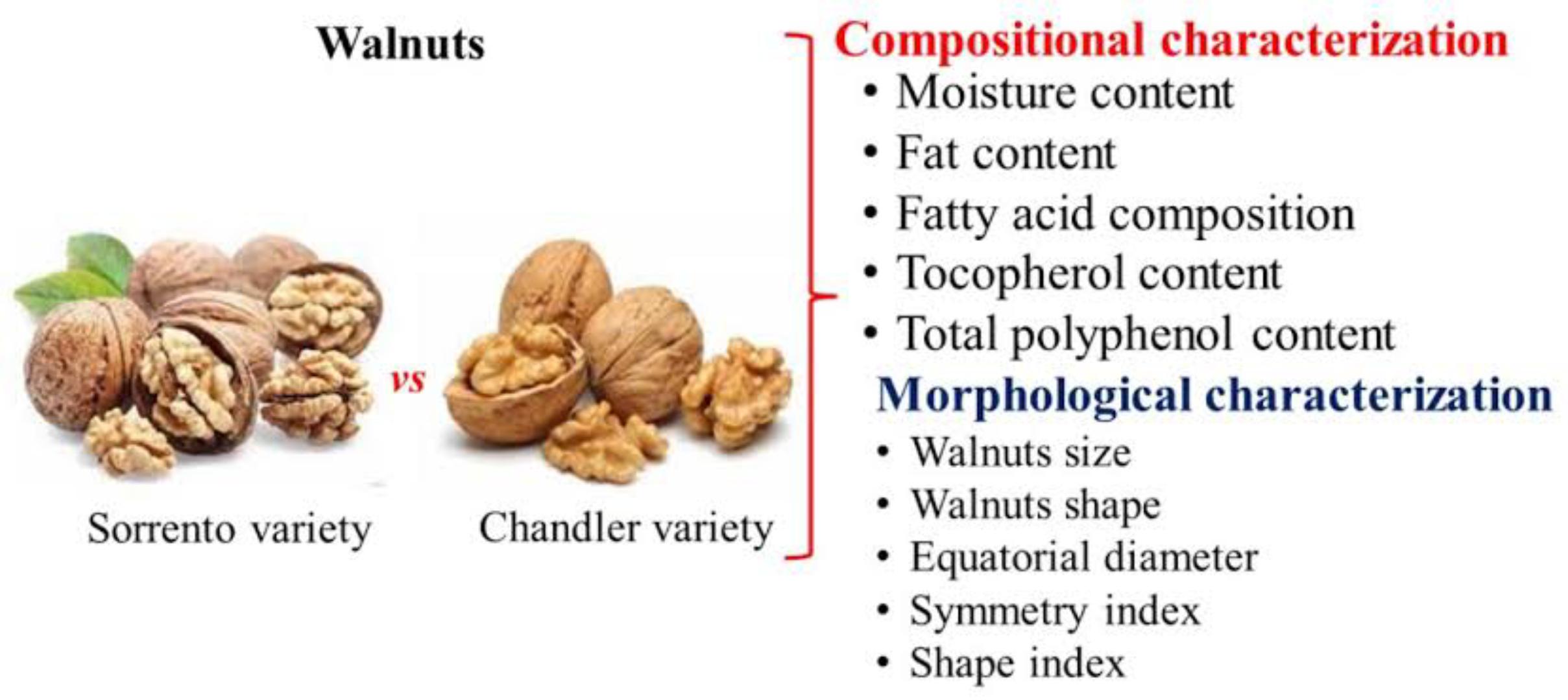 RAW WALNUTS (boosts brain, manages diabetes, bone health