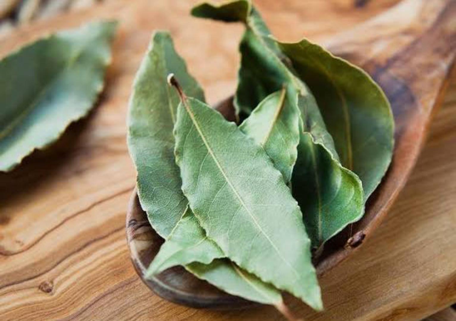 BAY LEAVES (PURE ORGANIC FRESH BAY LEAVES