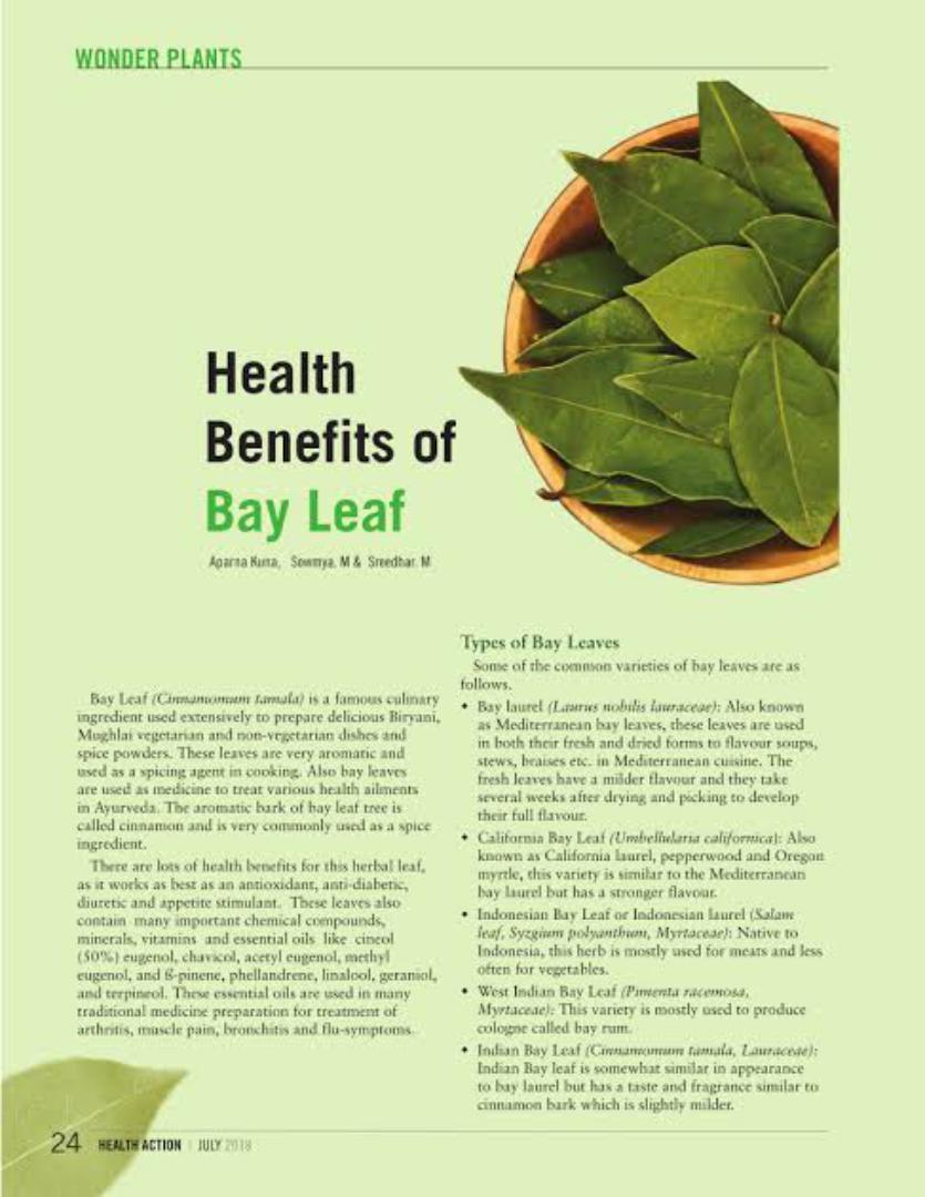 BAY LEAVES (PURE ORGANIC FRESH BAY LEAVES