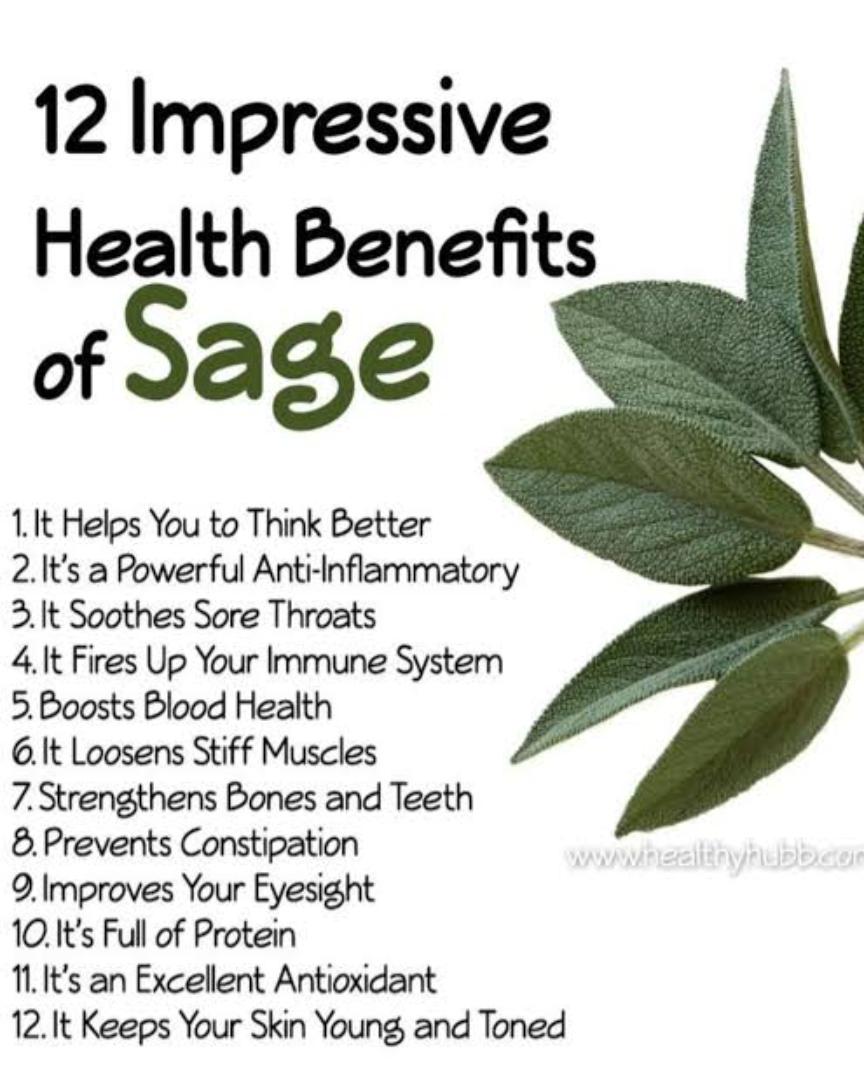 Organic dried sage leaf