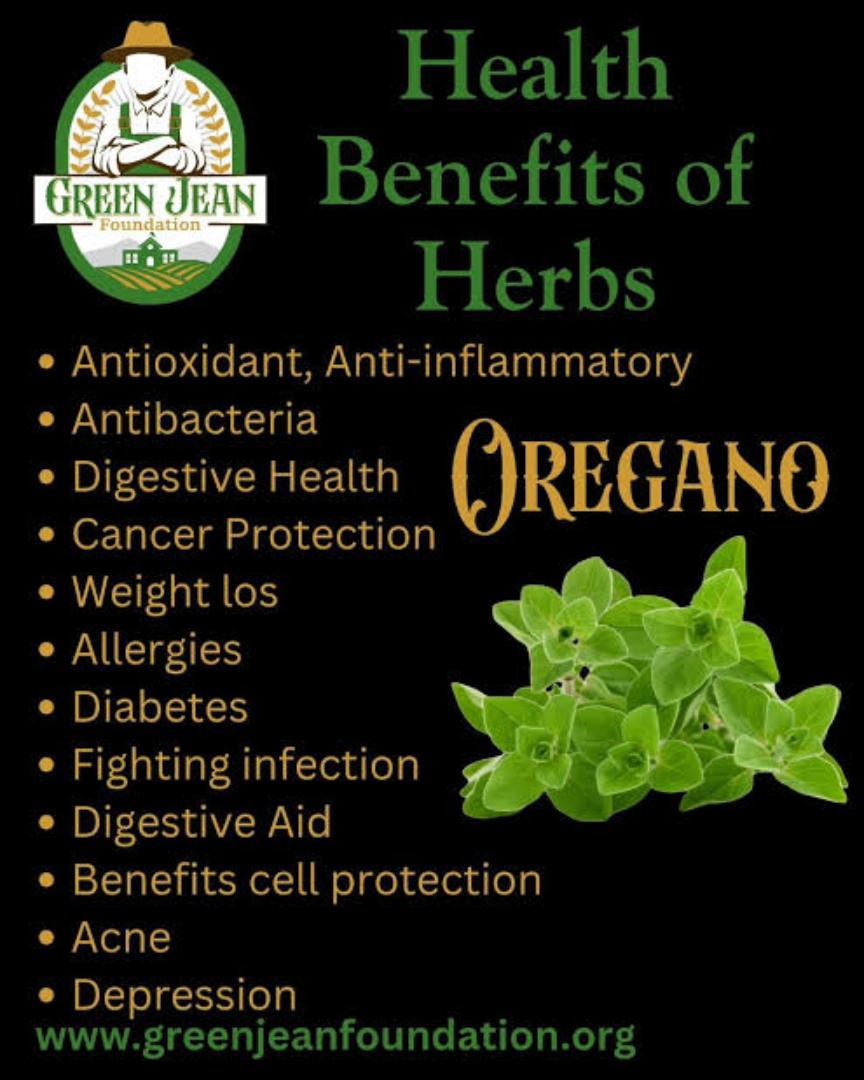 OREGANO LEAVES