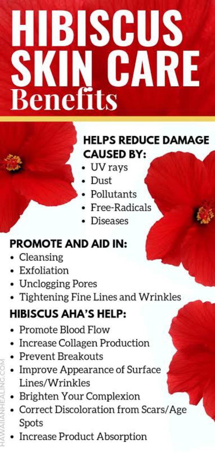 HIBISCUS TEA (LOWERS CHOLESTEROL, BALANCE HORMONES, LEADS TO FERTILITY, REDUCES WRINKLES