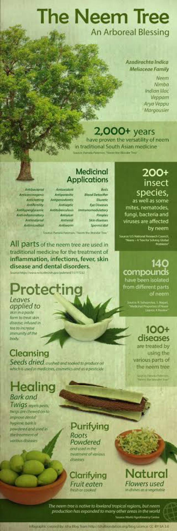 Neem powder,( MWARUBAINI),(used for cleansing, boosts immunity natural detoxification, treats stomach problems,