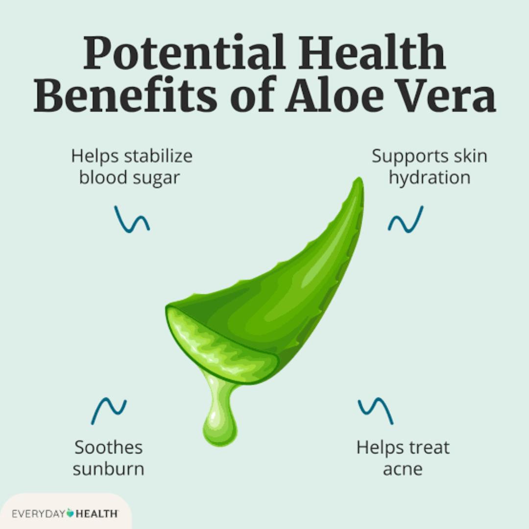 ALOE VERA POWDER (TREATS STOMACH ULCERS,REGULATES BLOOD SUGARS,FIGHTS STDS,TREATS INFECTIONS