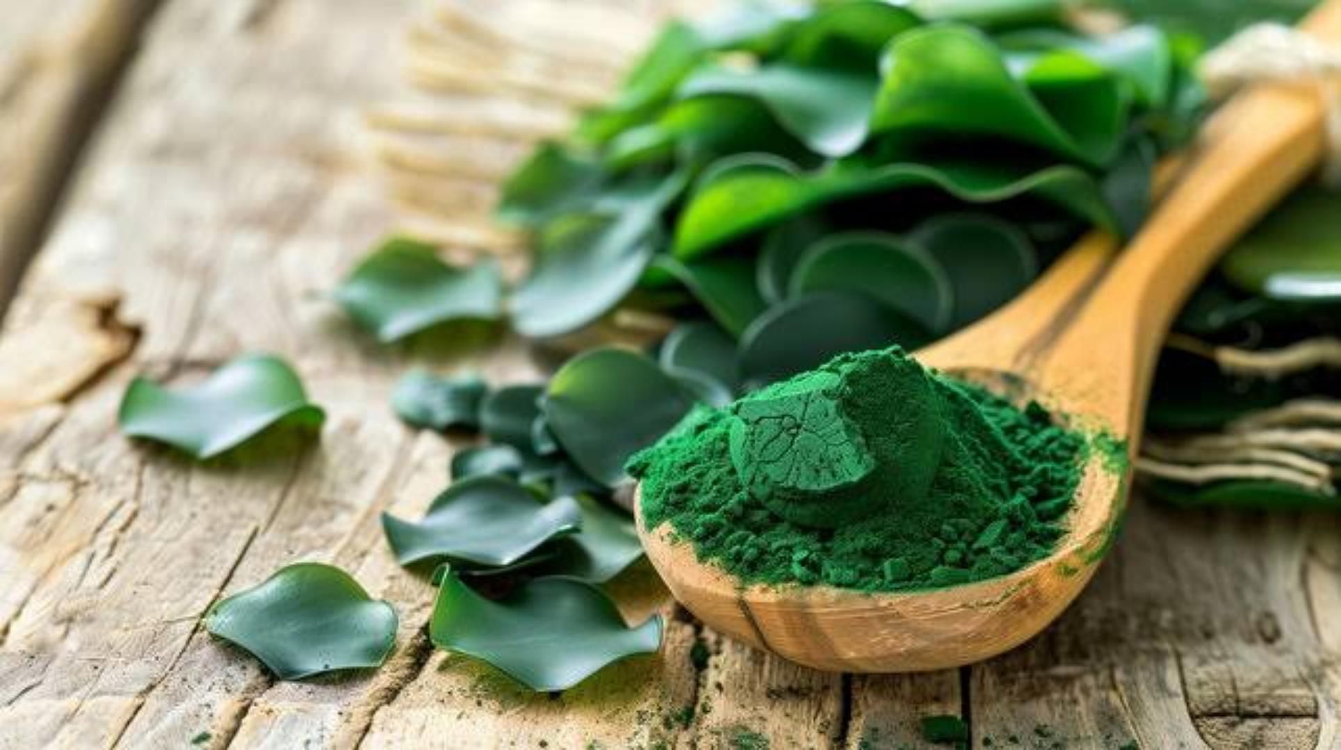 SPIRULINA POWDER (PURIFIES BLOOD,REGULATES CHOLESTEROL HIGH CHLOROPHYLL,PREVENTS HEART DESEAESES