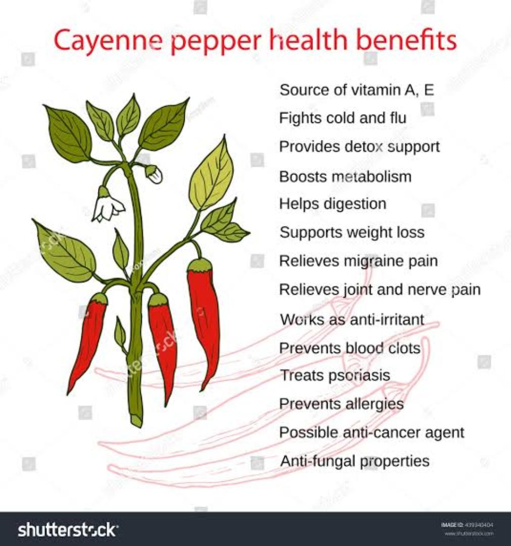 ORGANIC CAYENNE PEPPER (REDUCE WEIGHT, REDUCE ACID, REDUCE ULCERS