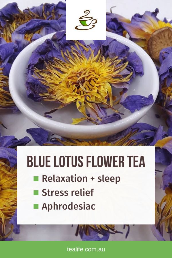 BLUE LOTUS FLOWER (BETTER SOUND SLEEP, RELAXATION, REDUCE STRESS AND ANXIETY