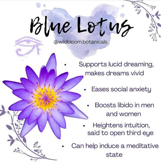 BLUE LOTUS FLOWER (BETTER SOUND SLEEP, RELAXATION, REDUCE STRESS AND ANXIETY