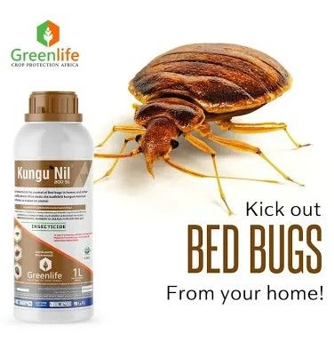 Green life kungunil 200 sl,fast and instant kill, bedbugs cockroaches,mites,lice