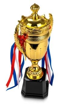 Gold Champion Trophy Cup – Elegant Award for Sports, Competitions & Events (32 cm Height) TrophyCup Small Cup Trophy with Removable Ribbon Attached to Both Handles