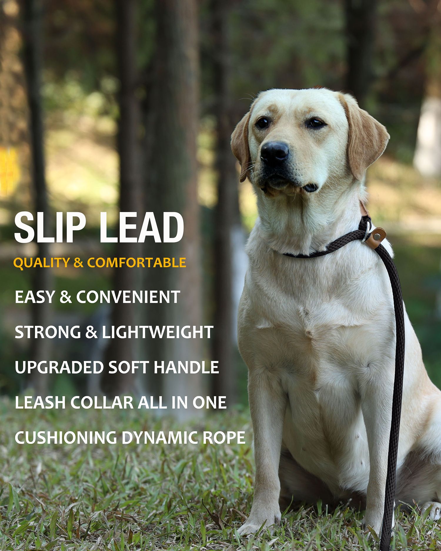 Dog Leash Slip Rope Lead Leash Strong Heavy Duty Braided Rope No Pull Training Lead Leashes for Medium Large and Small Dogs