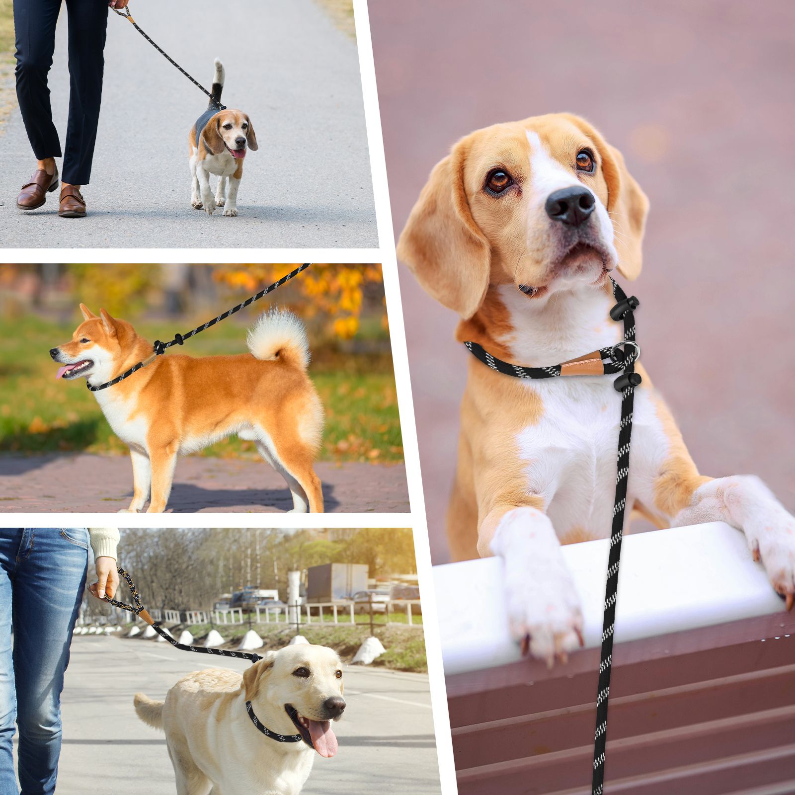 Dog Leash Reflective Slip Rope Lead Leash Strong Heavy Duty Braided Rope No Pull Training Lead Leashes for Medium Large and Small Dogs