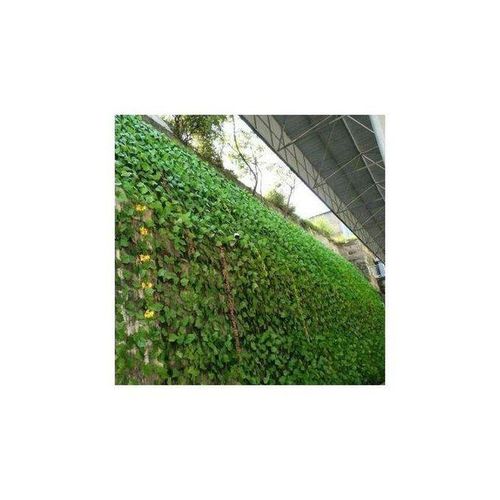 12pcs Rattan Artificial Leaves Vines Leaves Grape Ivy Leaf2.2m Plant Vine Hanging Realistic Fake Leaves Flower For Wedding Wall ,Balcony Privacy Fence Garden Decorative Hedge And Outdoor Decor