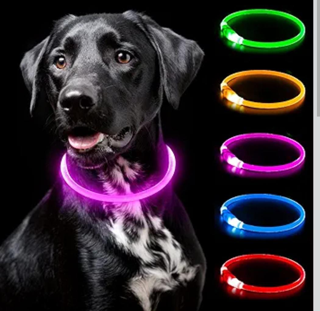 Rechargeable Light Up Pets Collars. safety Rechargeable LED Dog Collar - Glowing Pet Collar - TPU Puppy Collar - Flashing Dog Walking Lights for* Small Medium Large  Glow in the dark