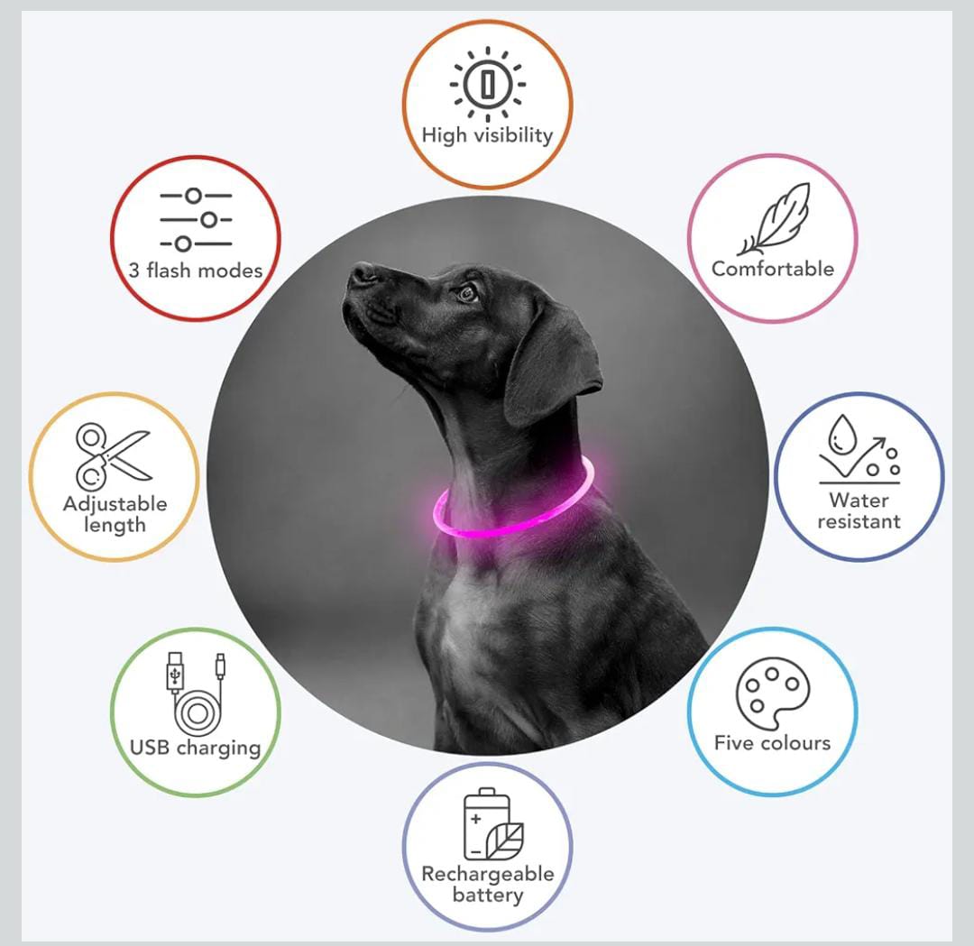 Rechargeable Light Up Pets Collars. safety Rechargeable LED Dog Collar - Glowing Pet Collar - TPU Puppy Collar - Flashing Dog Walking Lights for* Small Medium Large  Glow in the dark