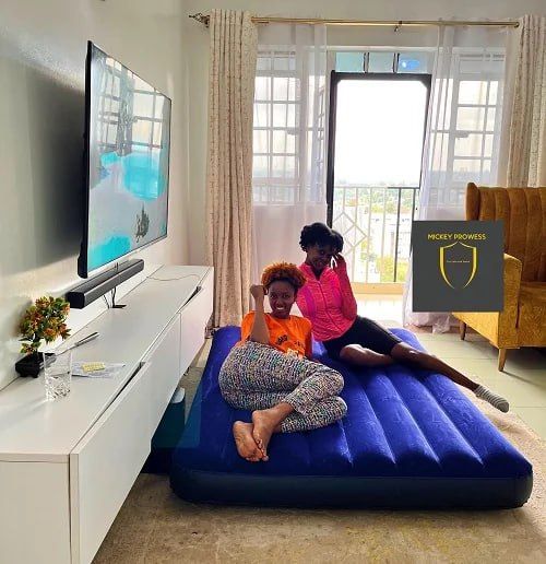 Premium Portable INTEX Air bed & Air Mattress with Free Electric Pump