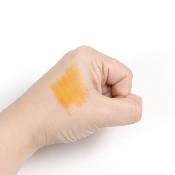 Guangbo H02248 Acrylic Marker 12 Colors Set  Permanent Acrylic Paint Marker Pens