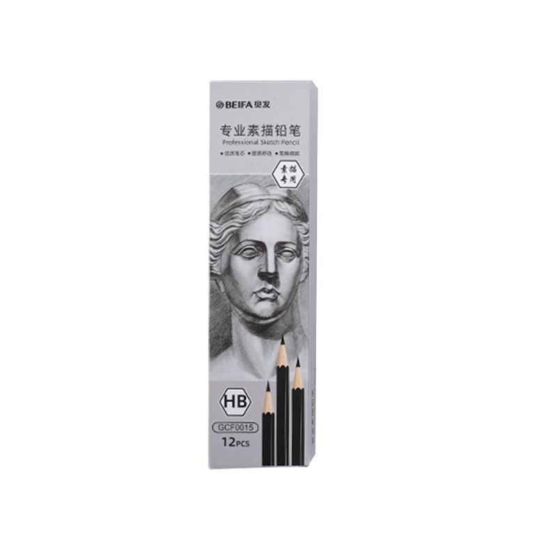 BEIFA Professional Sketch Pencils (12pcs Box) – HB Pencil, 2B Pencil, 4B pencil, 6B Pencil, 8B Pencil School & Art Sketching Set (HB–8B)