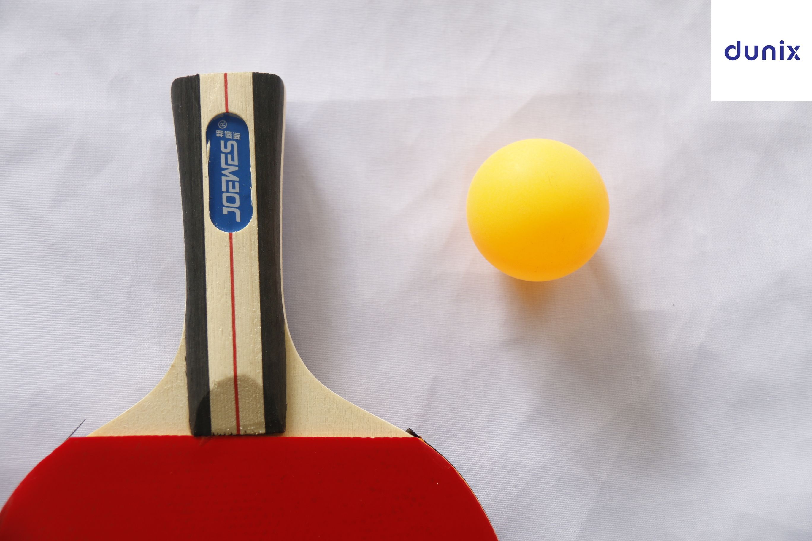 Professional Table Tennis Professional Table Tennis Set  consisting 2 Table Tennis Bats and 3 Ping Pong Balls Set – 2 Rackets + 3 Balls + Carrying Case | Ping Pong Paddle Set