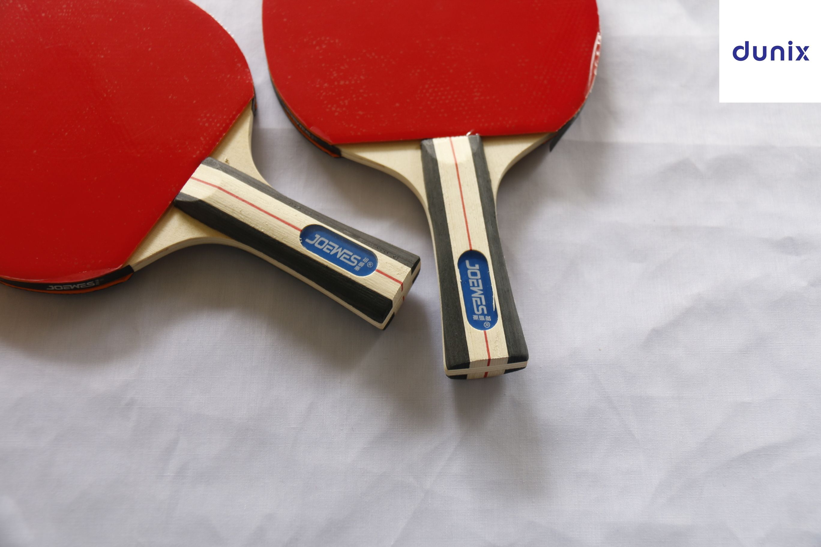 Professional Table Tennis Professional Table Tennis Set  consisting 2 Table Tennis Bats and 3 Ping Pong Balls Set – 2 Rackets + 3 Balls + Carrying Case | Ping Pong Paddle Set