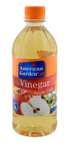 American garden apple cider