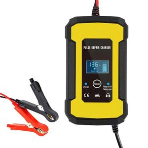 Car Battery Charger 12V/24V Pulse Repair Starter