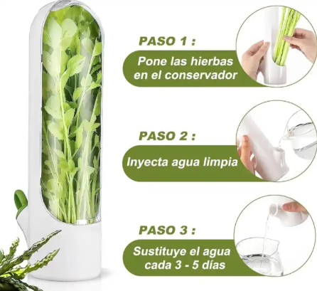 Herb Saver Storage Container Fresh Herb Keeper Vanilla Vegetables Fresh Preservation Bottle For Refrigerator Kitchen