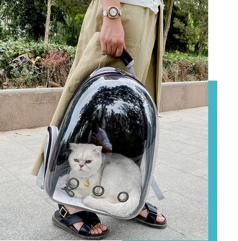 Cat bag, pet space backpack, breathable portable transparent backpack, space backpack for cats and dogs