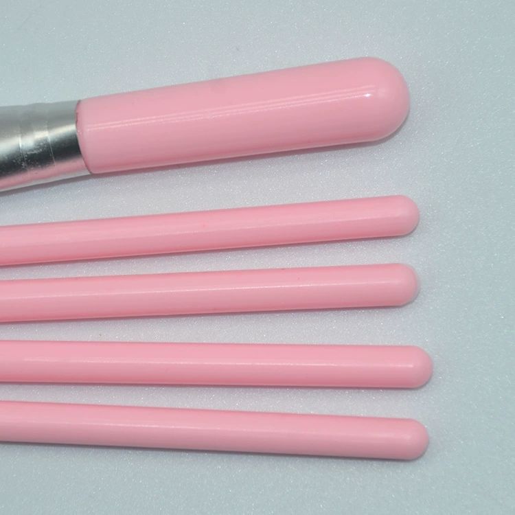 Set of Makeup Brushes for Women, 5pcs, Eyeshadow Powder, Eyelash Beauty, Cheek Color, Hot Cosmetic Tool