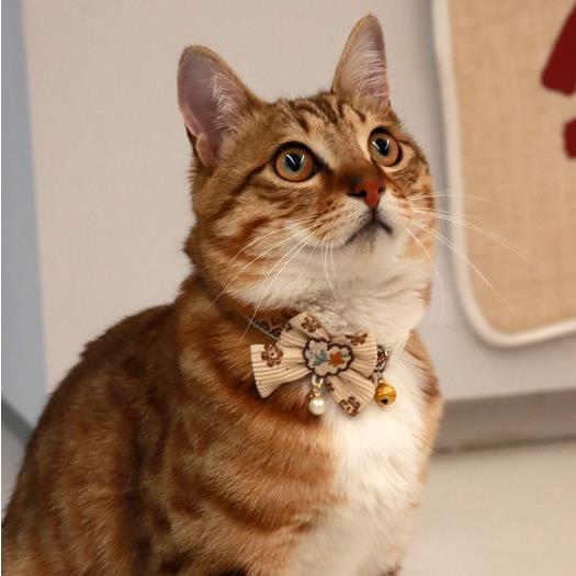 1PC Pet Collar Adjustable Colorful Lace Flower Cat Collar Puppy Accessory Necklace Pet Collar Kitten Cute Dog Bell Cat Product