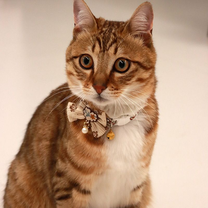 1PC Pet Collar Adjustable Colorful Lace Flower Cat Collar Puppy Accessory Necklace Pet Collar Kitten Cute Dog Bell Cat Product
