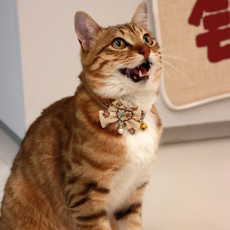 1PC Pet Collar Adjustable Colorful Lace Flower Cat Collar Puppy Accessory Necklace Pet Collar Kitten Cute Dog Bell Cat Product