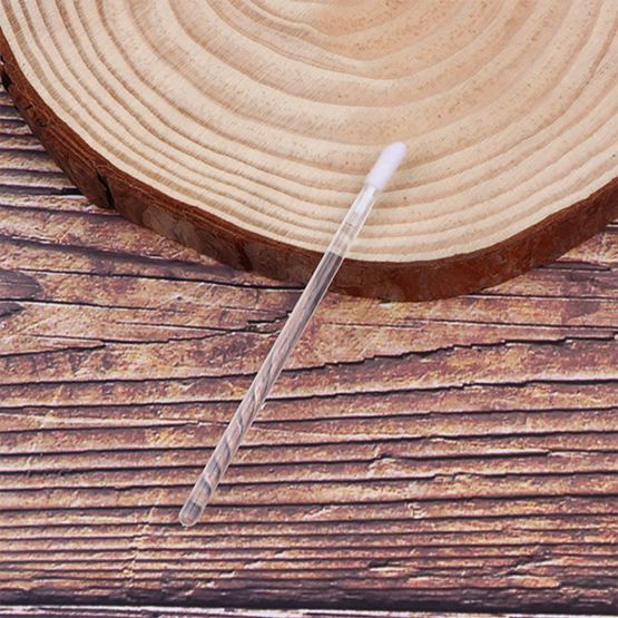 50PCS disposable plush lip brush stick, women's portable crystal transparent rod lipstick brush