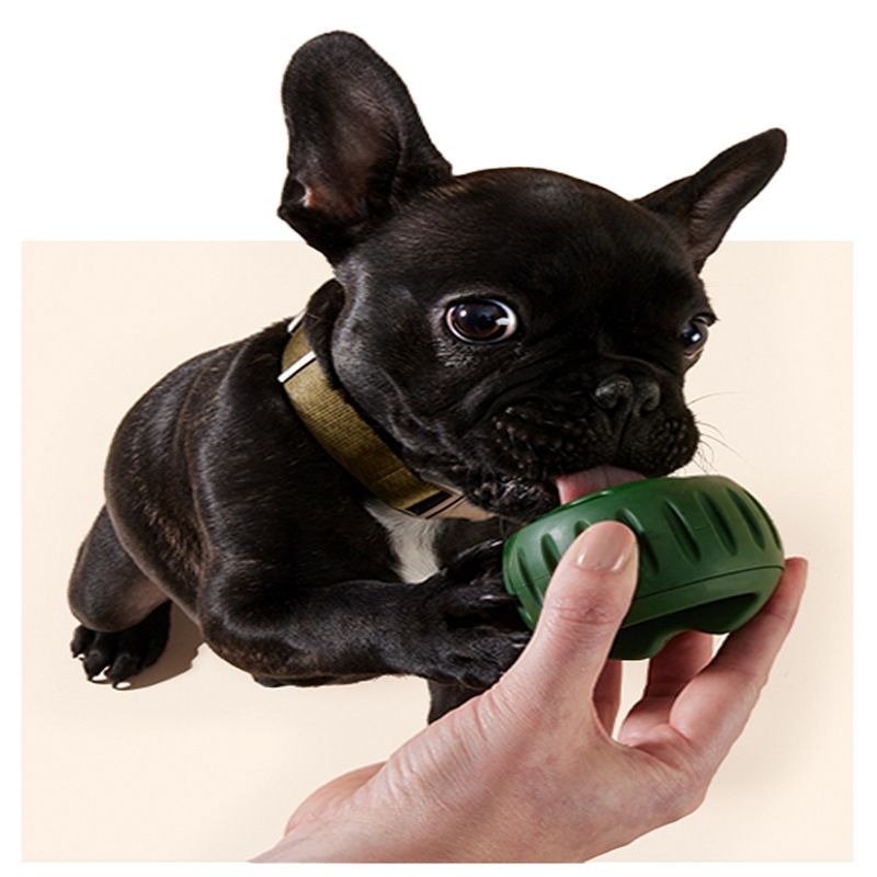 Pet Bowl Funnel Toy New Style Creative Fillable Dog Toy Treat Mold Easy To Clean Dog Chew Toy Interactive Family Fun Dog Toy