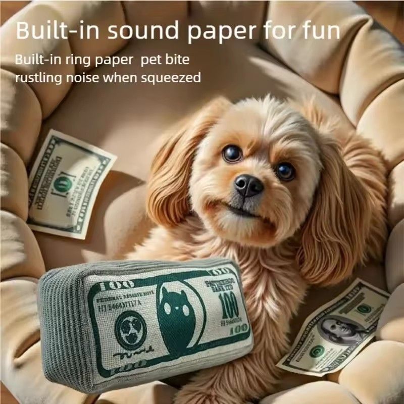 Dog gnawing toy, new cat, dollar bill, grinding teeth, bite resistant, self soothing, noisy paper toy