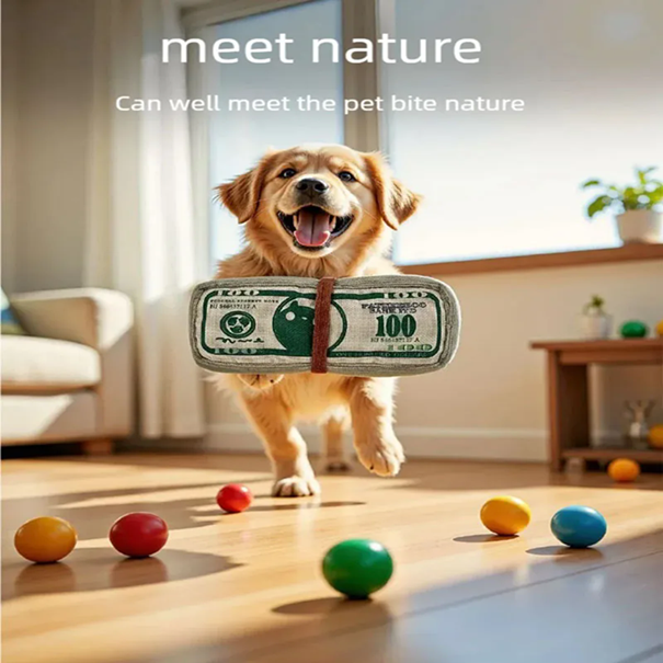 Dog gnawing toy, new cat, dollar bill, grinding teeth, bite resistant, self soothing, noisy paper toy