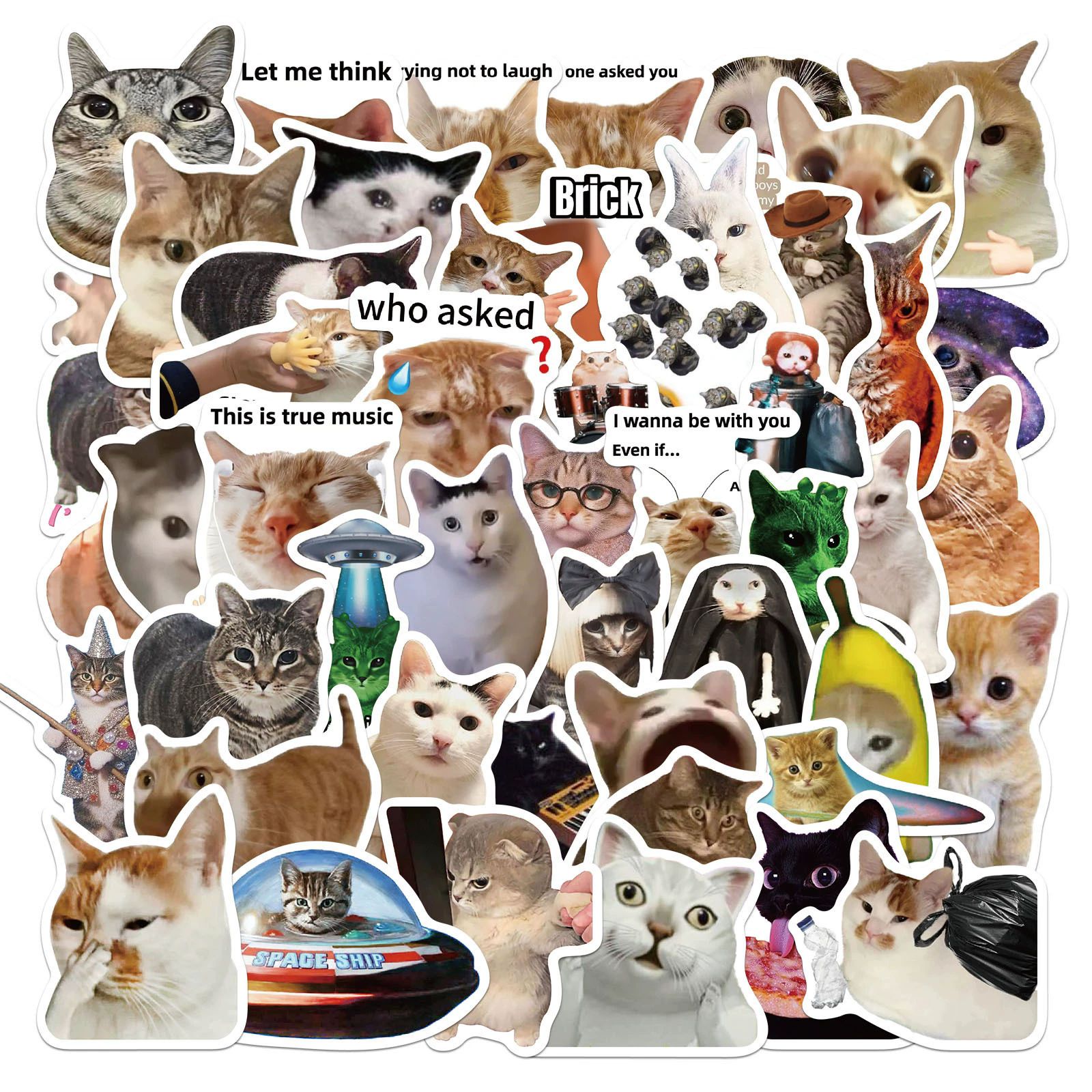 50 Pcs Vinyl Cute Rats Stickers Waterproof Graffiti Animals Sticker Rodent Stickers for Water Bottles Laptop Computer Scrapbook C-698