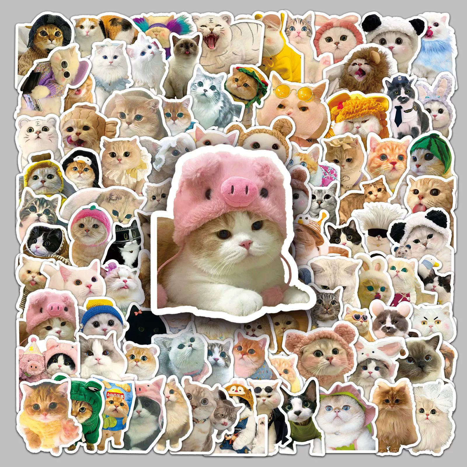 100PCS  Cute Animal Capybara Stickers Funny Creative Cartoon Decals Decoration DIY Luggage Phone Laptop Fridge Sticker-H-17