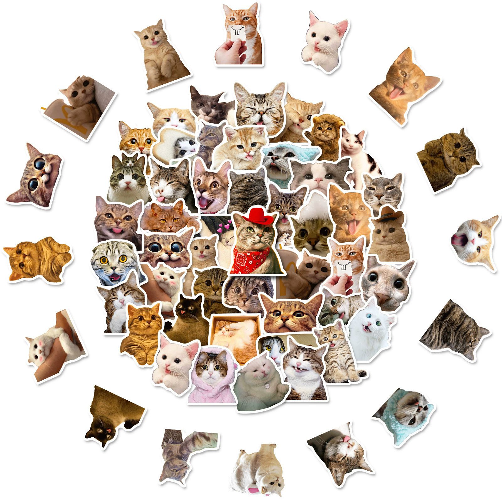 50 PCS Cartoon Cat Waterproof Stickers DIY Refrigerator Notebook Notebook Notebook Computer Water Cup Luggage Decoration