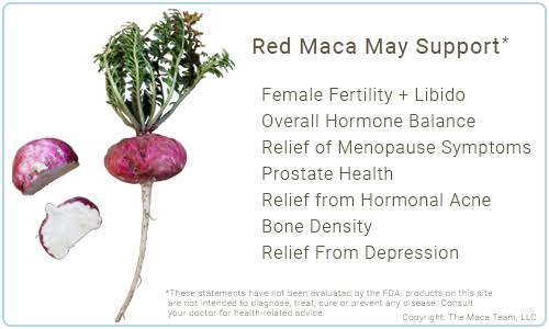 Red Maca Root Powder