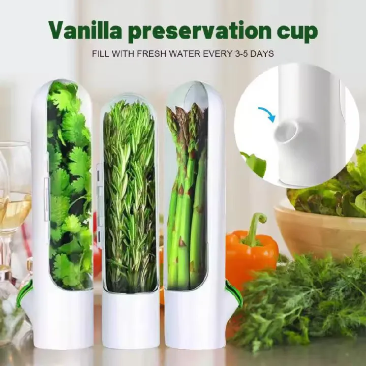 Herb Preservation Fresh Keeping Herb Fridge Organizer Herb Storage Container Saver Herb Preserver
