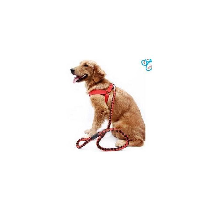 Leash Dog Harness Dog Collars And Leads For Medium Dogs Dog Harness For Medium Dogs Dog Training Lead Cat Harness With lead