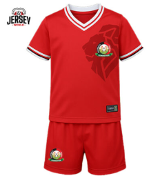 HARAMBEE STARS KENYA NATIONAL TEAM FOOTBALL JERSEY KIT CHAN 2025/2026 AFCON