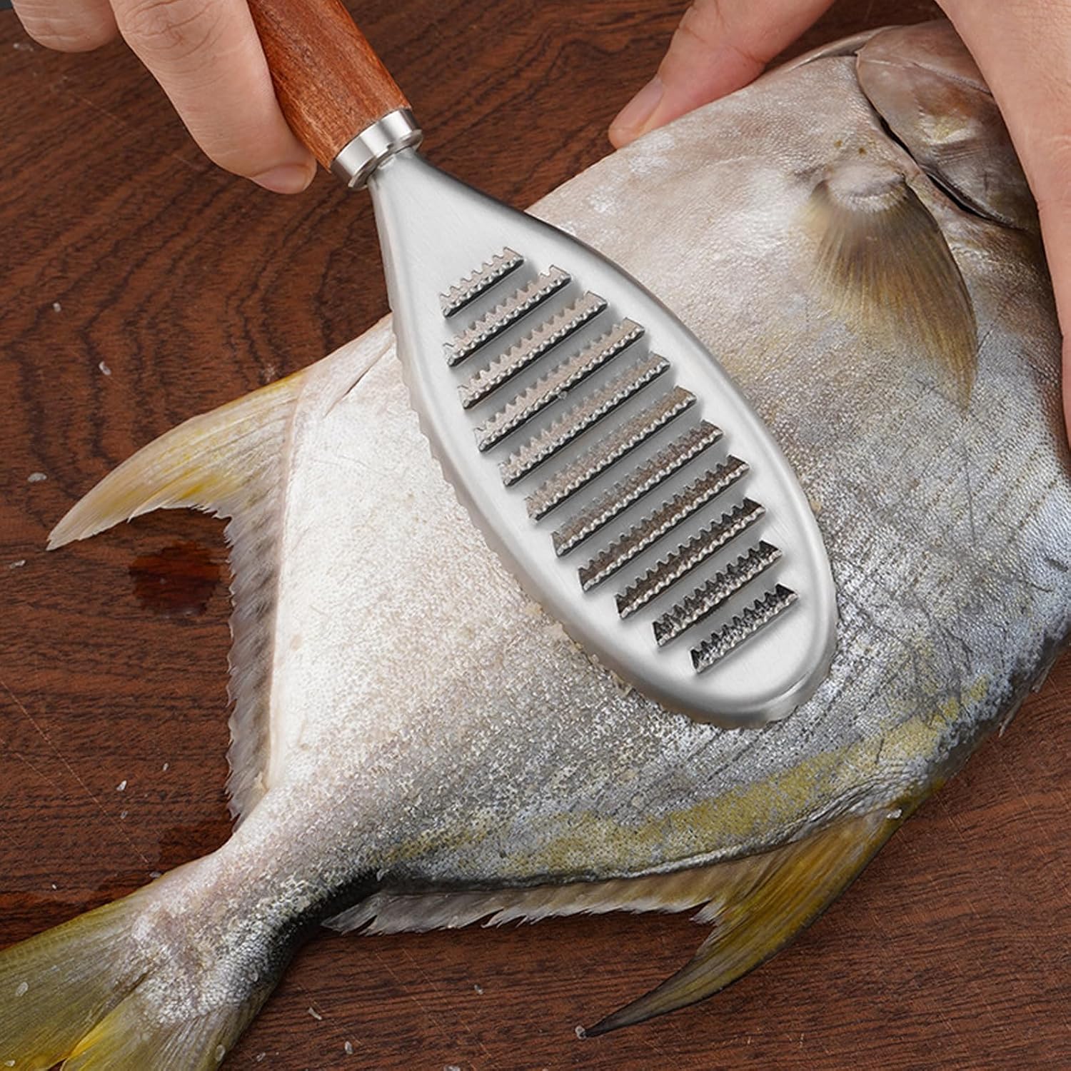 Stainless Steel Fish Scale Remover, Manual Fish Scaler with Wood Handle, Fish Cleaning Tool, Built-in Ginger Garlic Grater, Descale Kitchen Gadgets